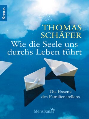 cover image of Wie die Seele uns durchs Leben führt